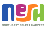 Nesh logo