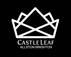CastleLeaf logo