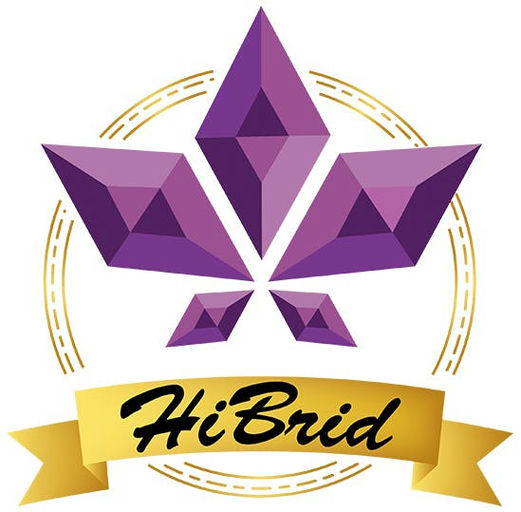 HiBrid logo
