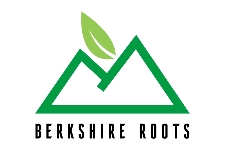 Berkshire Roots - Pittsfield (Recreational) logo