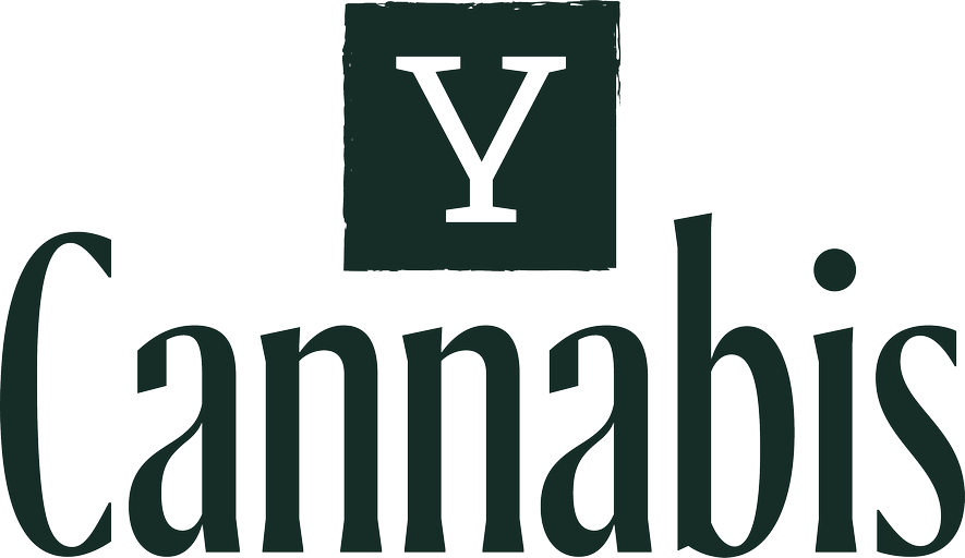 Y Cannabis - Berkley logo