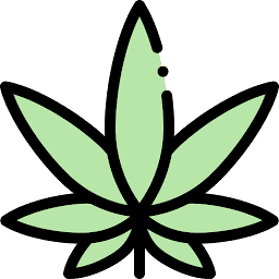 Fresh Connection - Cambridge logo