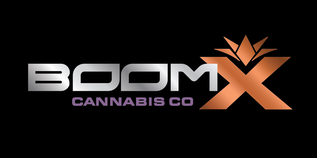 Boom X logo
