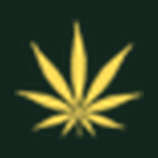SunnyDayz logo